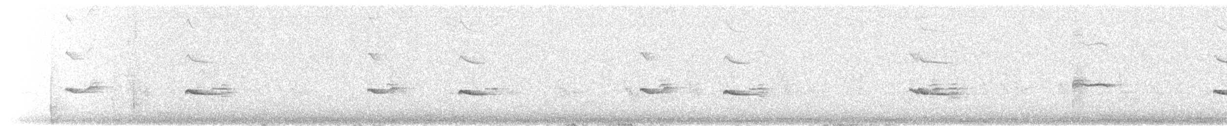 Say's Phoebe - ML659521292