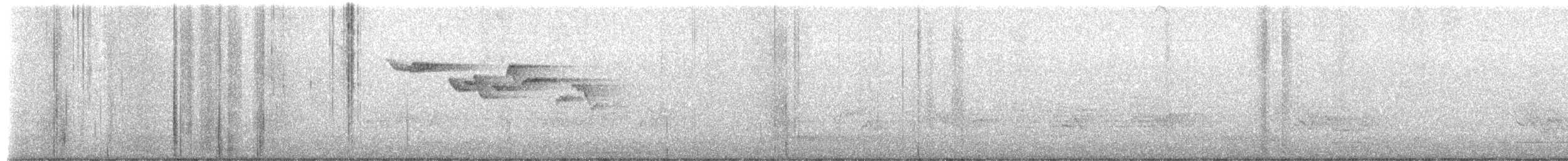Brown Creeper - ML659525198