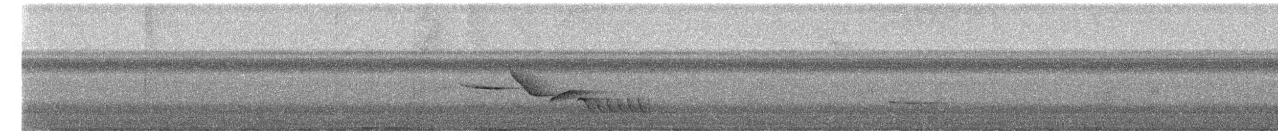 クリムネマユミソサザイ - ML659534164