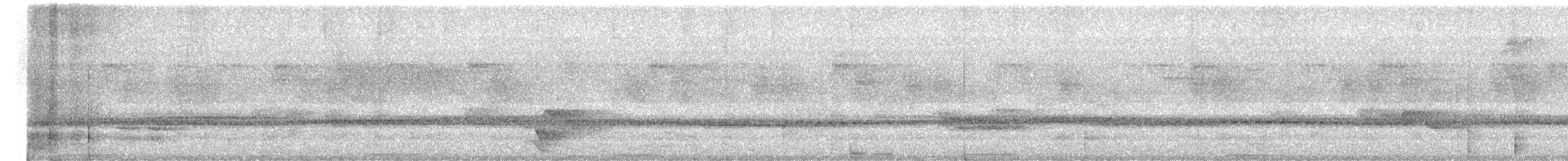 オジロカザリキヌバネドリ - ML659534586