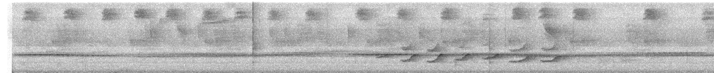ノドジロヤブクグリ - ML659535125