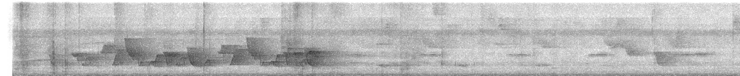 ホオジロマユミソサザイ - ML659535377