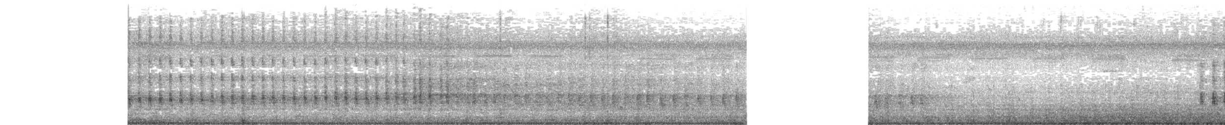 クビワヤマセミ - ML659537246