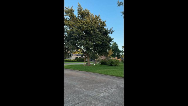 Wild Turkey - ML659538327