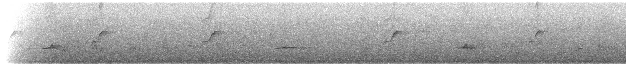 Veery - ML659539870