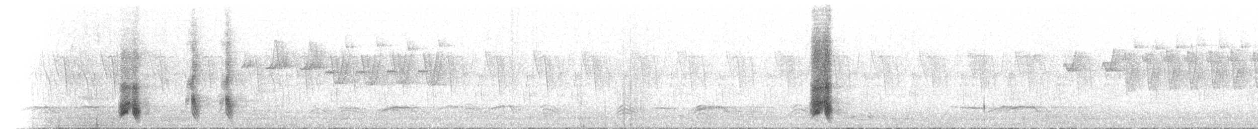 Oriental Magpie - ML659540881