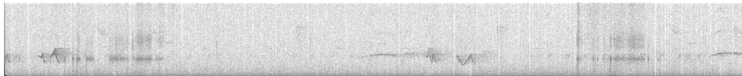 Black-whiskered Vireo - ML659544488