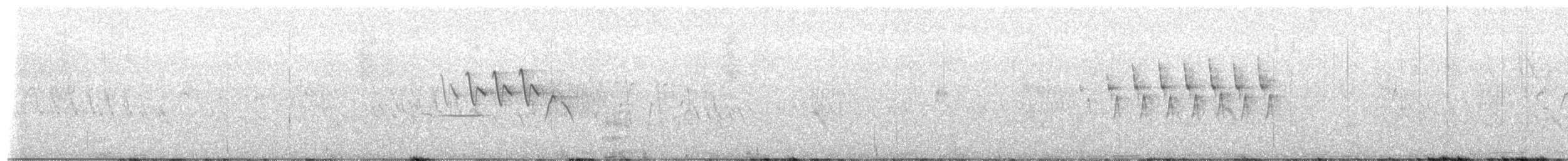 Wilson's Warbler - ML659544523
