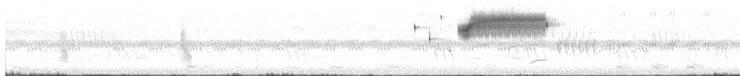 Bruant sauterelle - ML659553397