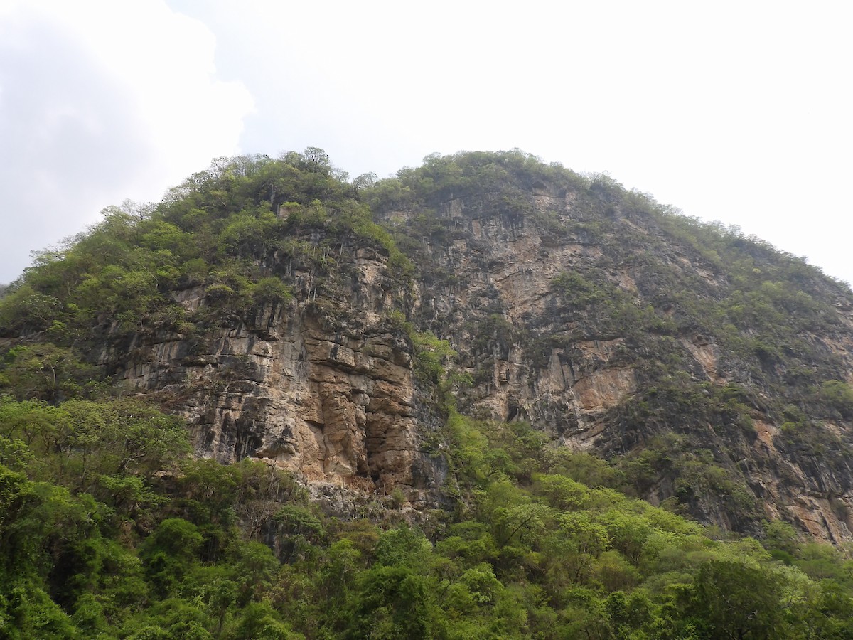 null - ML659553904