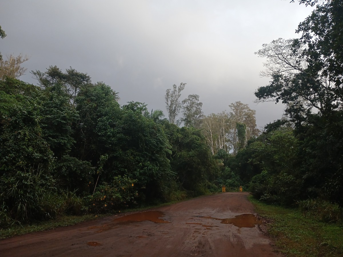 null - ML659555462