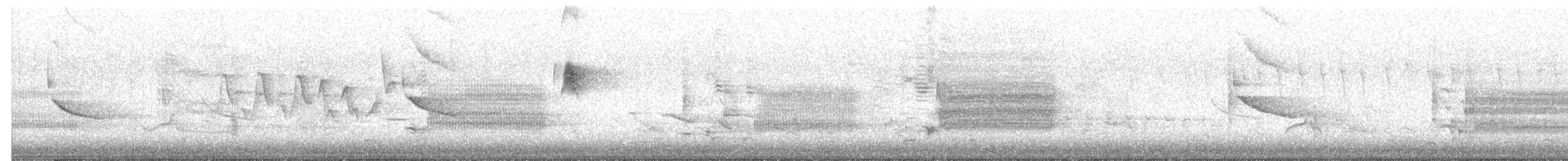 Tyran tritri - ML659555998