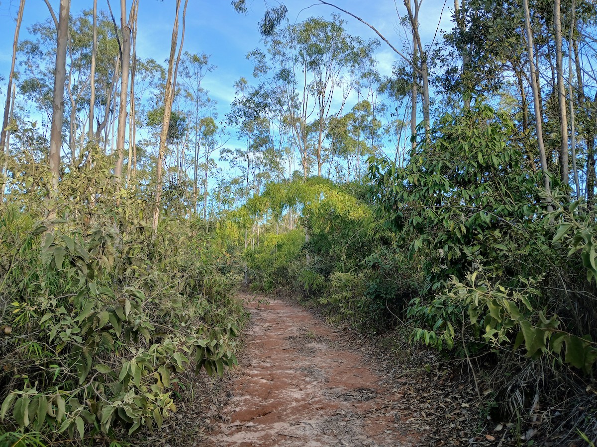 null - ML659556113
