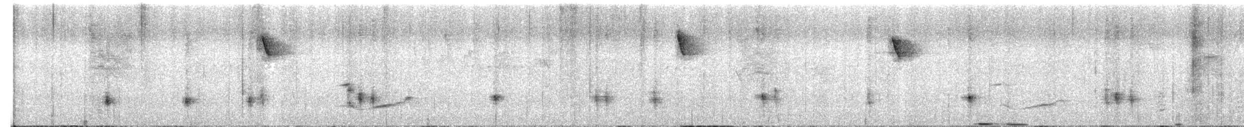 Fasciated Antshrike - ML659563590