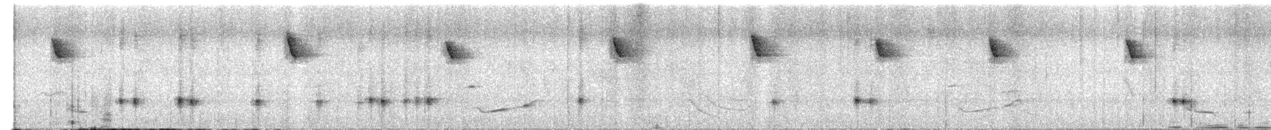Fasciated Antshrike - ML659563591