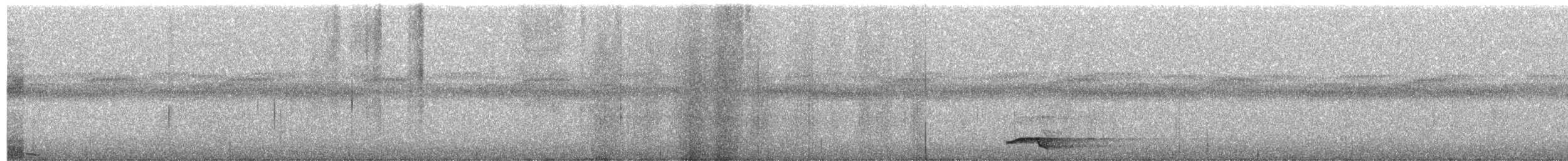 Новокаледонский цикадник - ML659566312