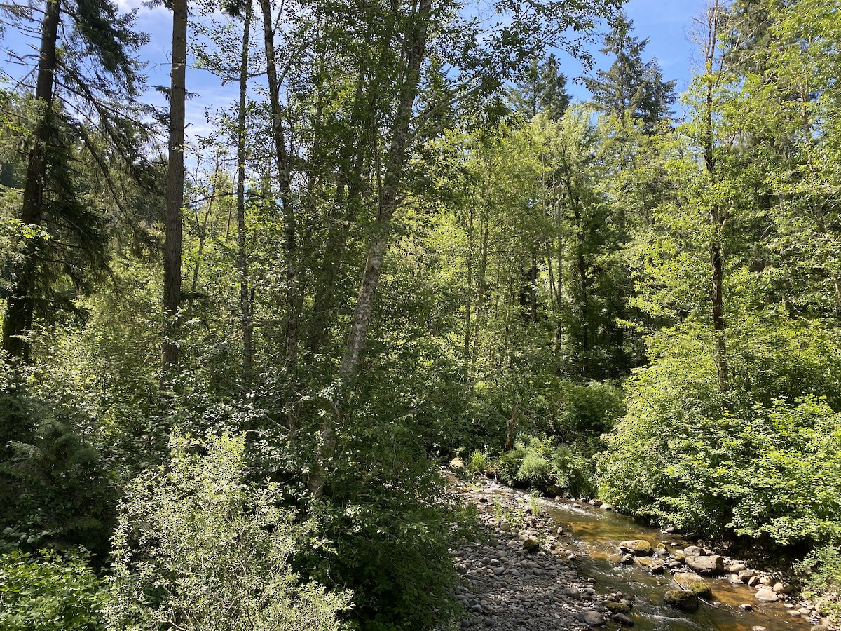 null - ML659571604