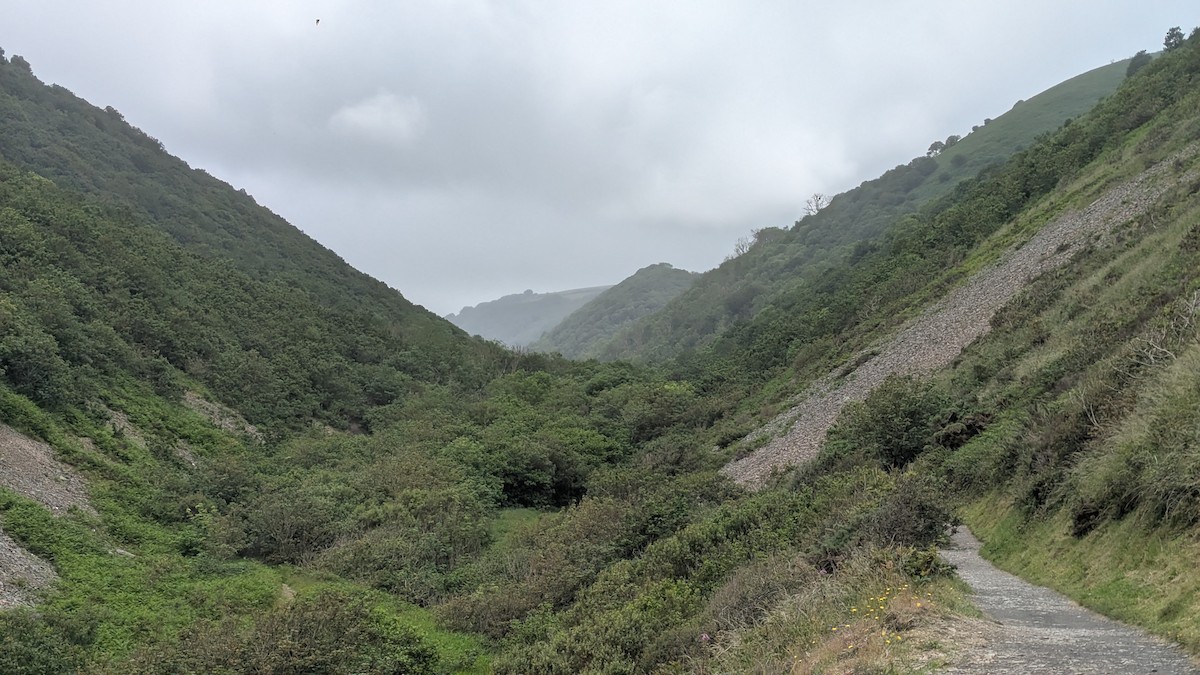 null - ML659573663
