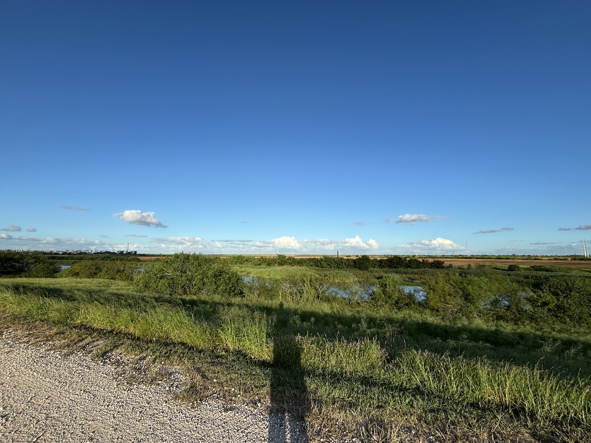 null - ML659587488