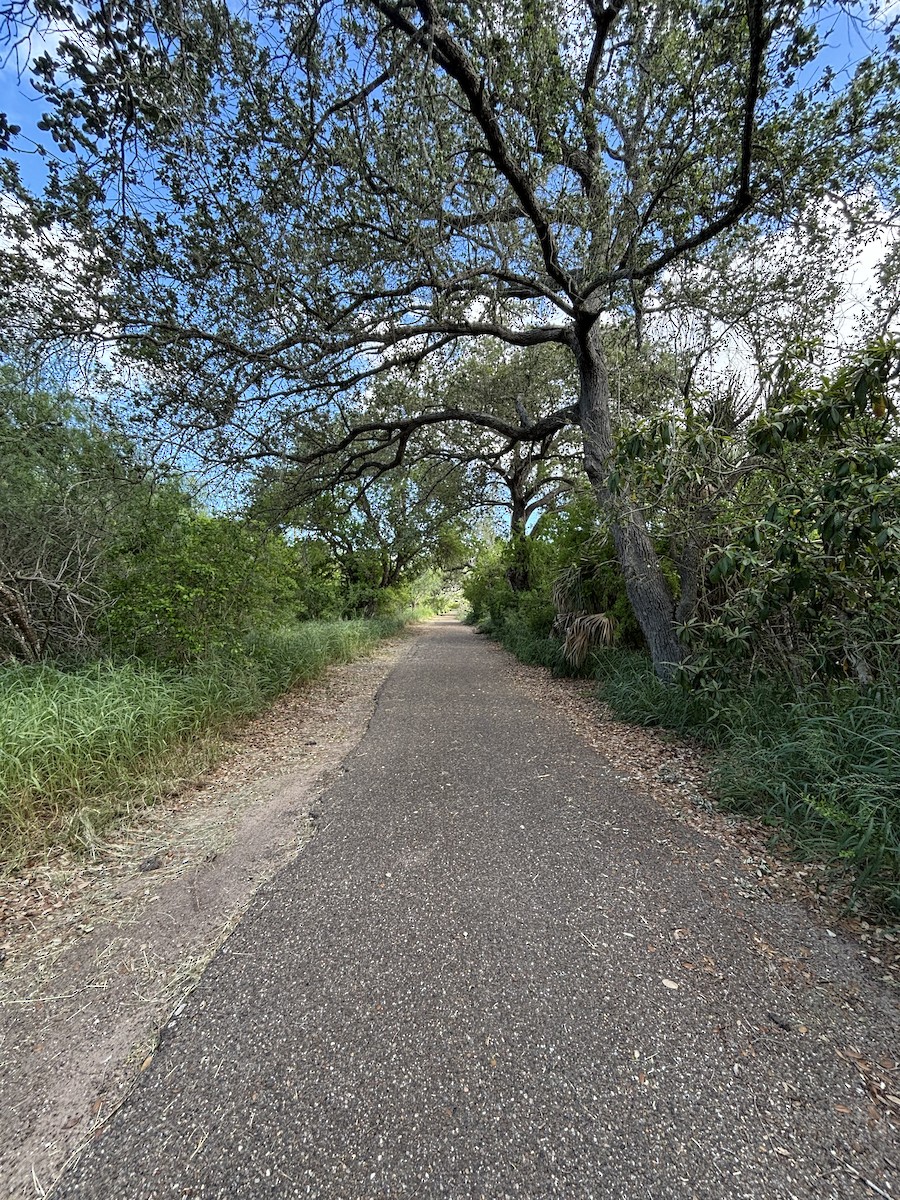 null - ML659587491