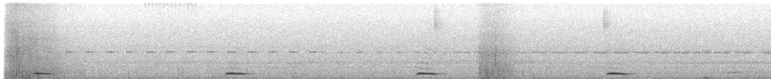 Long-whiskered Owlet - ML659589078
