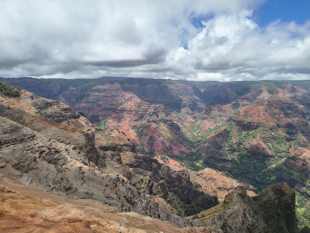 null - ML659590617