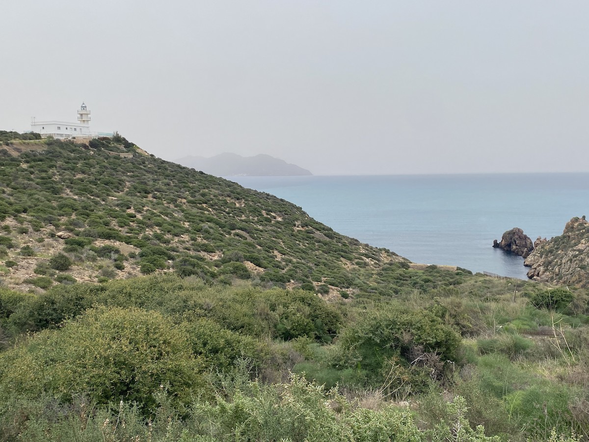 null - ML659595886