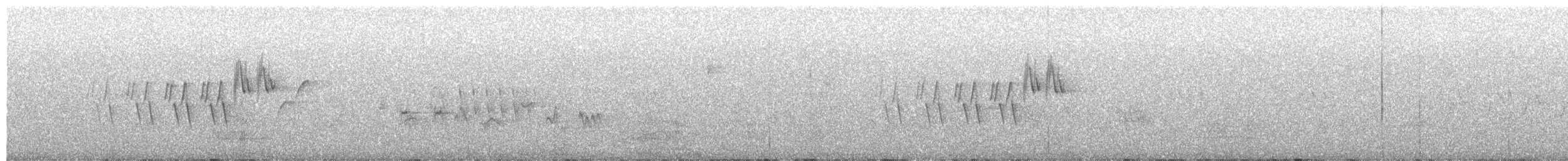 MacGillivray's Warbler - ML659612644