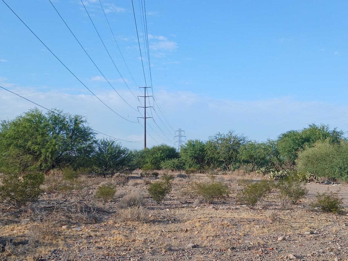 null - ML659620073