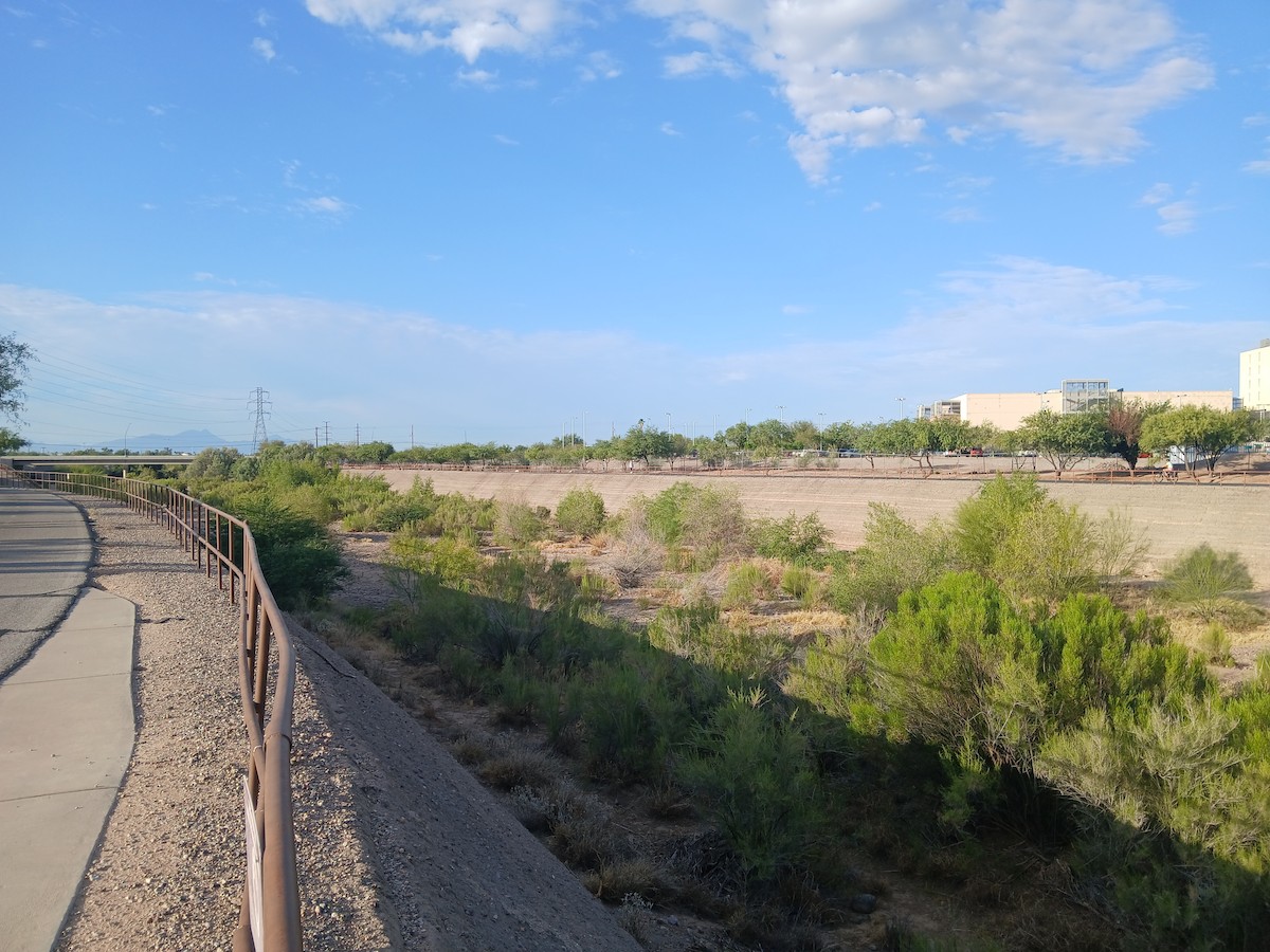 null - ML659620077
