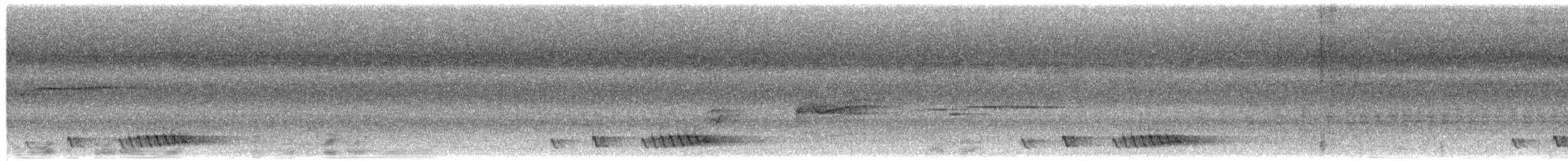 Prachtbartvogel - ML659628313