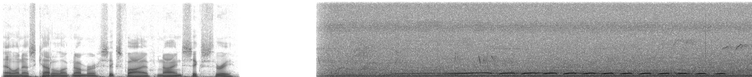 Turuncu Karınlı Meyve Kumrusu - ML65963