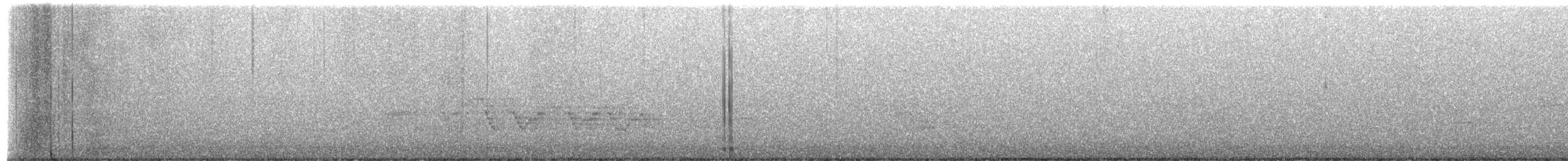 Veery - ML659651431