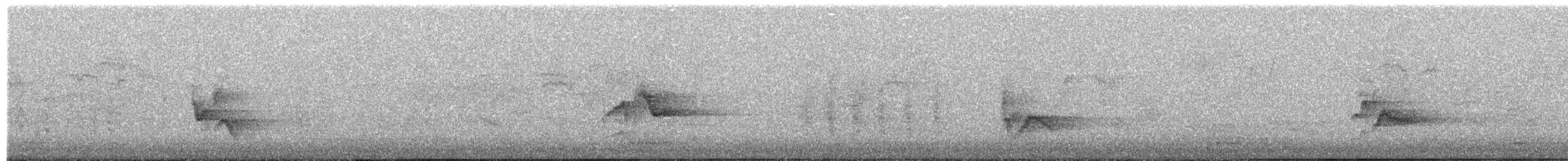 Cassin's Vireo - ML659658404