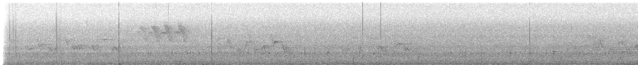 strakapoud americký - ML659661135