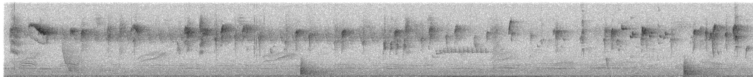 Striated Thornbill - ML659661484