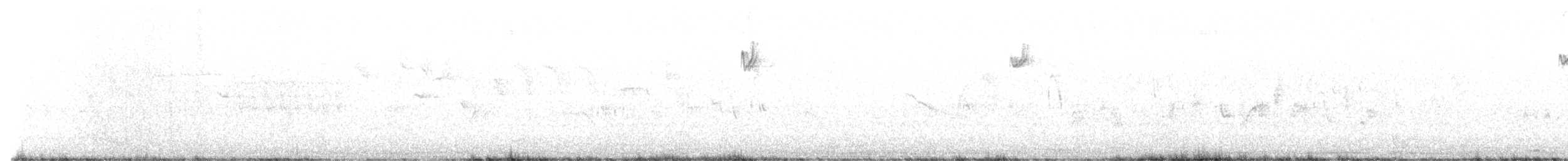 Eurasian Nuthatch (Western) - ML659664813