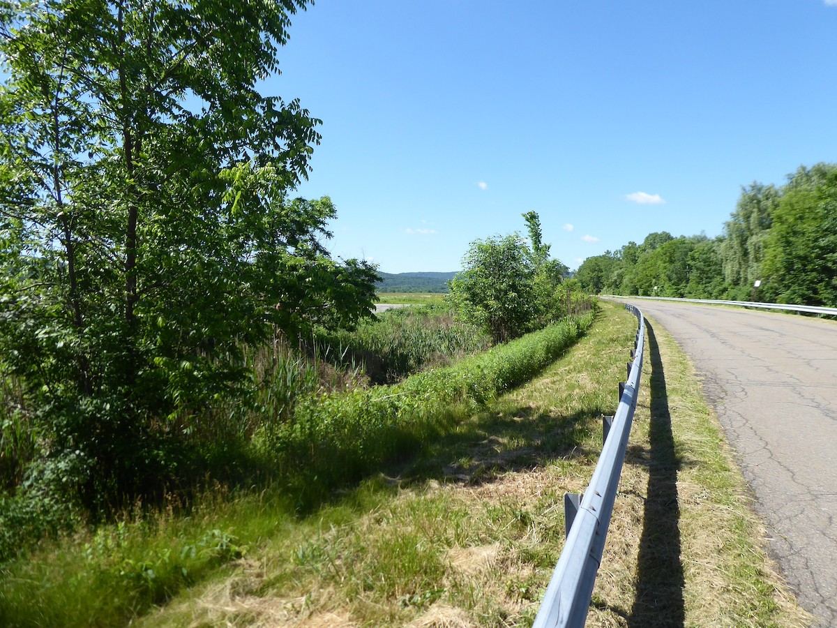null - ML659671128
