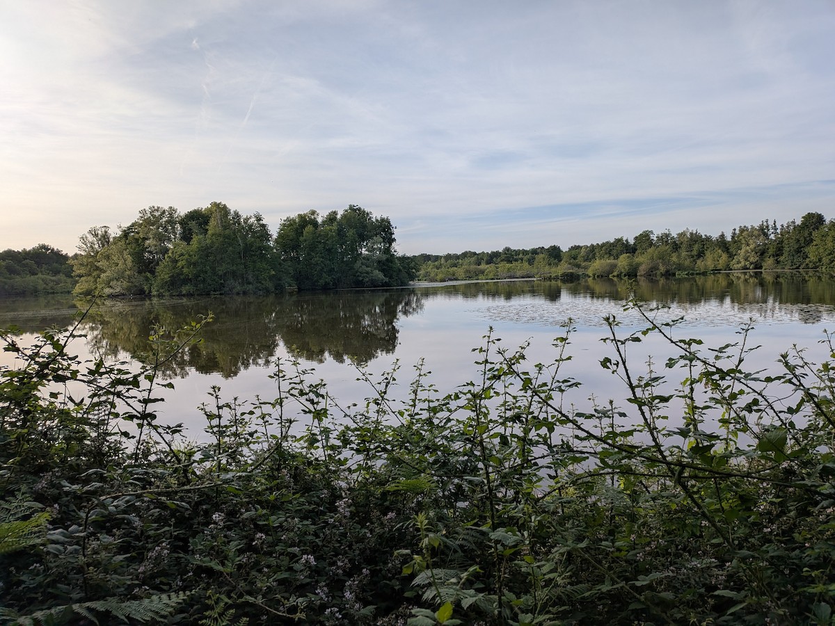 null - ML659672375