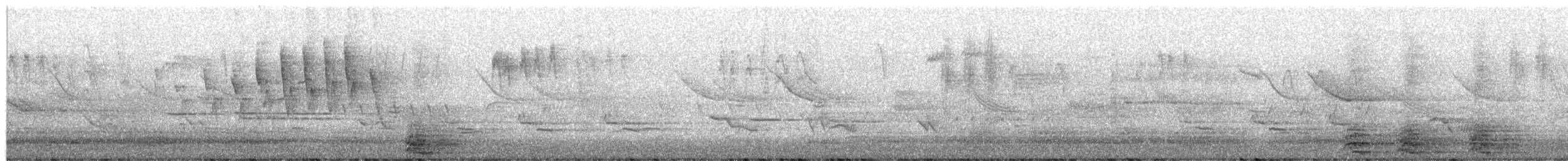 Wilson's Warbler - ML659684100