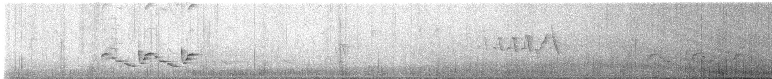 Carolina Wren - ML659688031