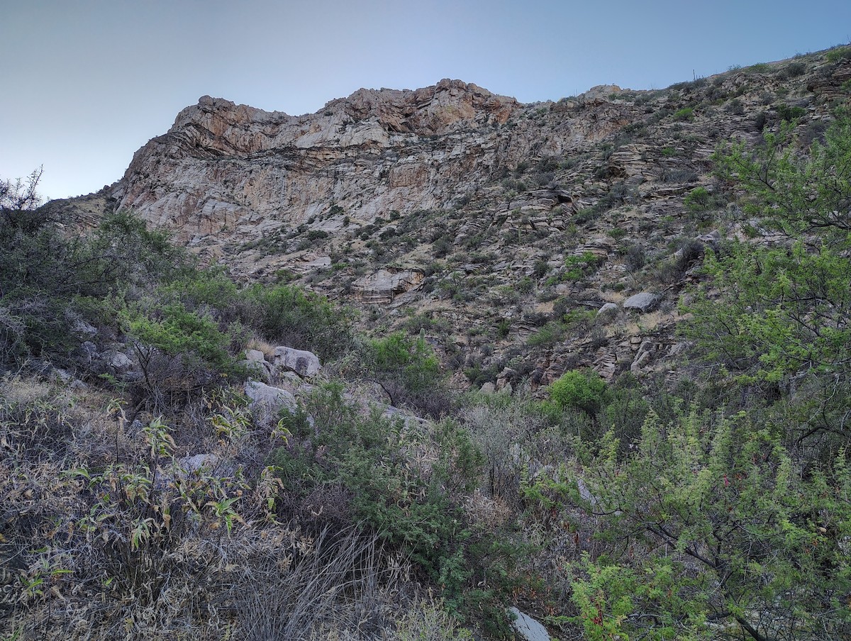 null - ML659688254
