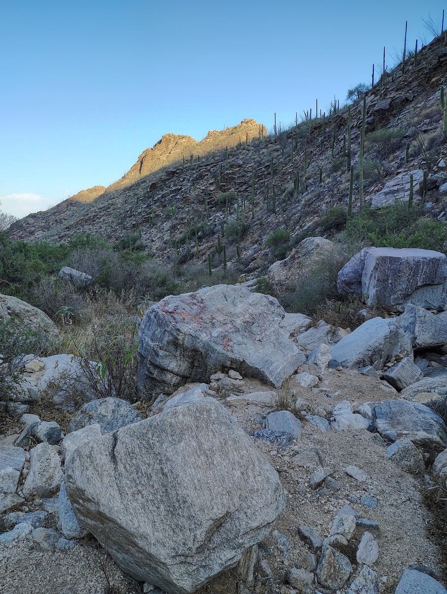 null - ML659688430