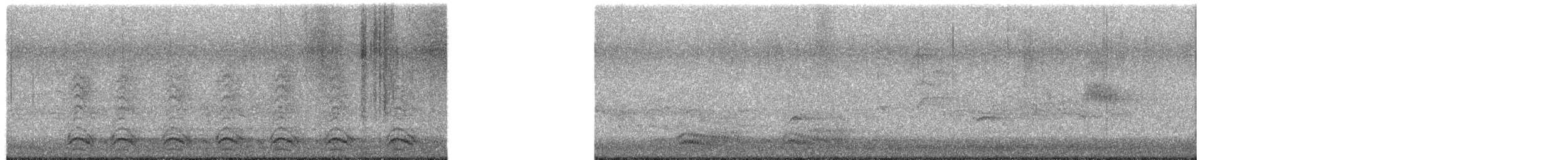 American Crow - ML659691181