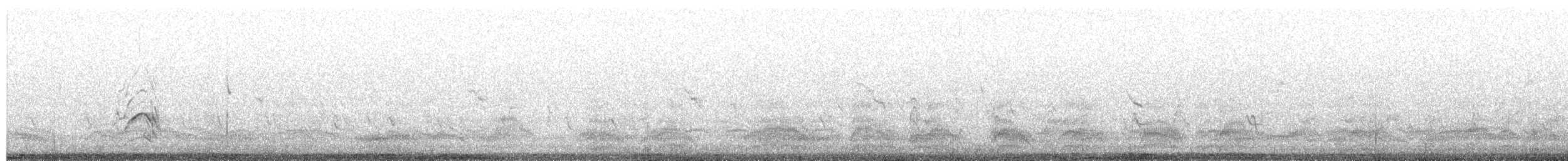 Western Marsh Harrier - ML659691831