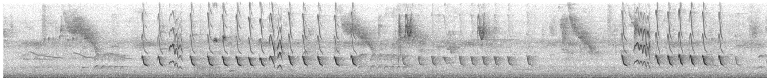 White-winged Becard - ML659702159
