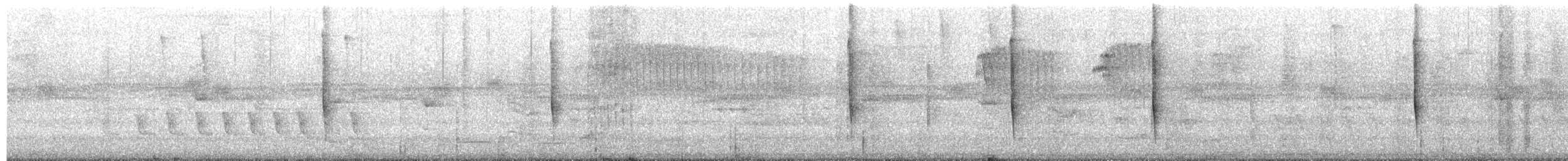 Brown Violetear - ML659702245