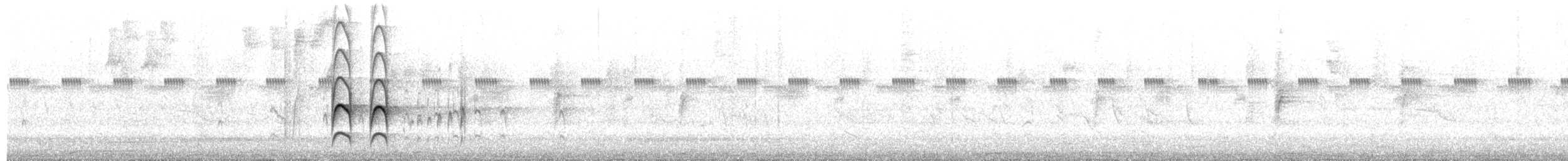 Gray-capped Flycatcher - ML659702407