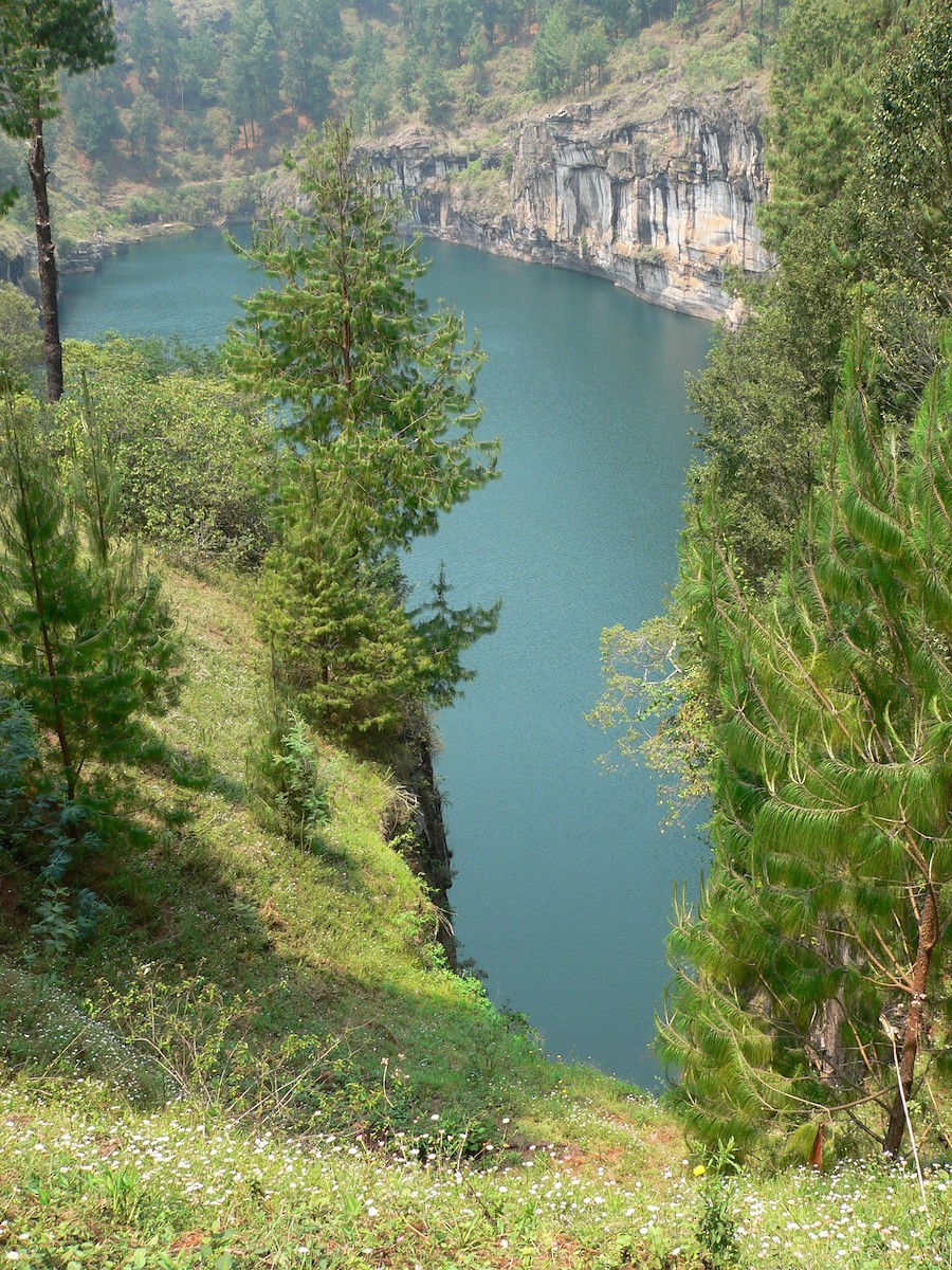 null - ML659702566