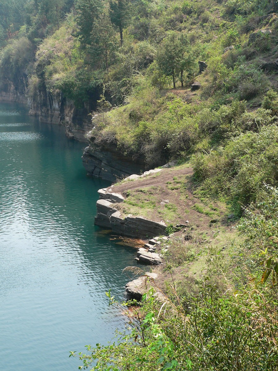null - ML659702665